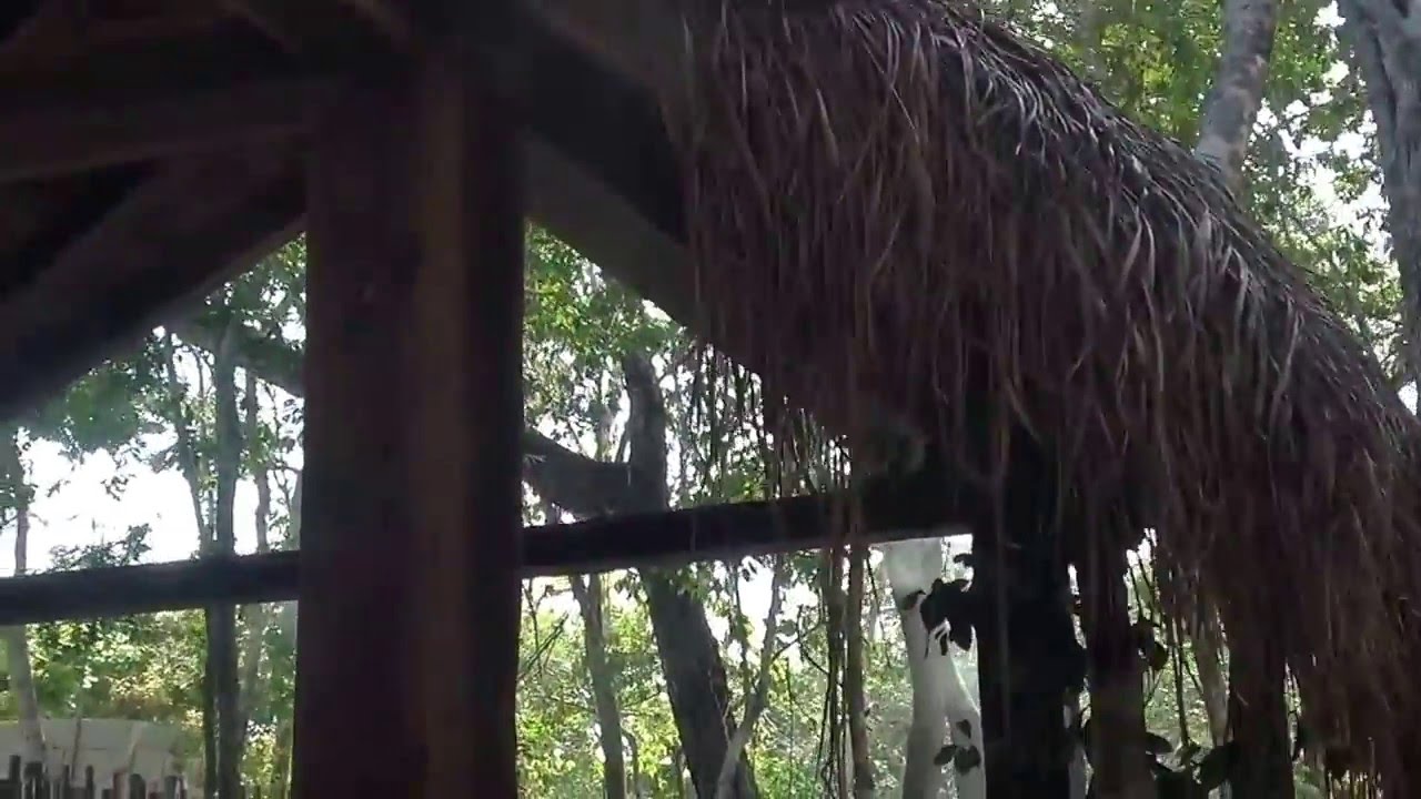 Residencial Artia Tulum con Sistema Automatico Jardin Libre