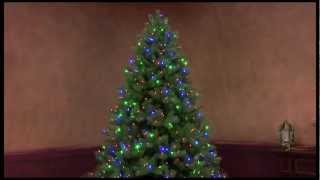 Color Choice® Pre-lit Tree by GEHolidayLighting 63,769 views 11 years ago 1 minute, 16 seconds