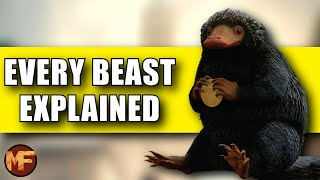 Every Beast We've Seen So Far in Fantastic Beasts 1/2 (45 Creatures Explained)