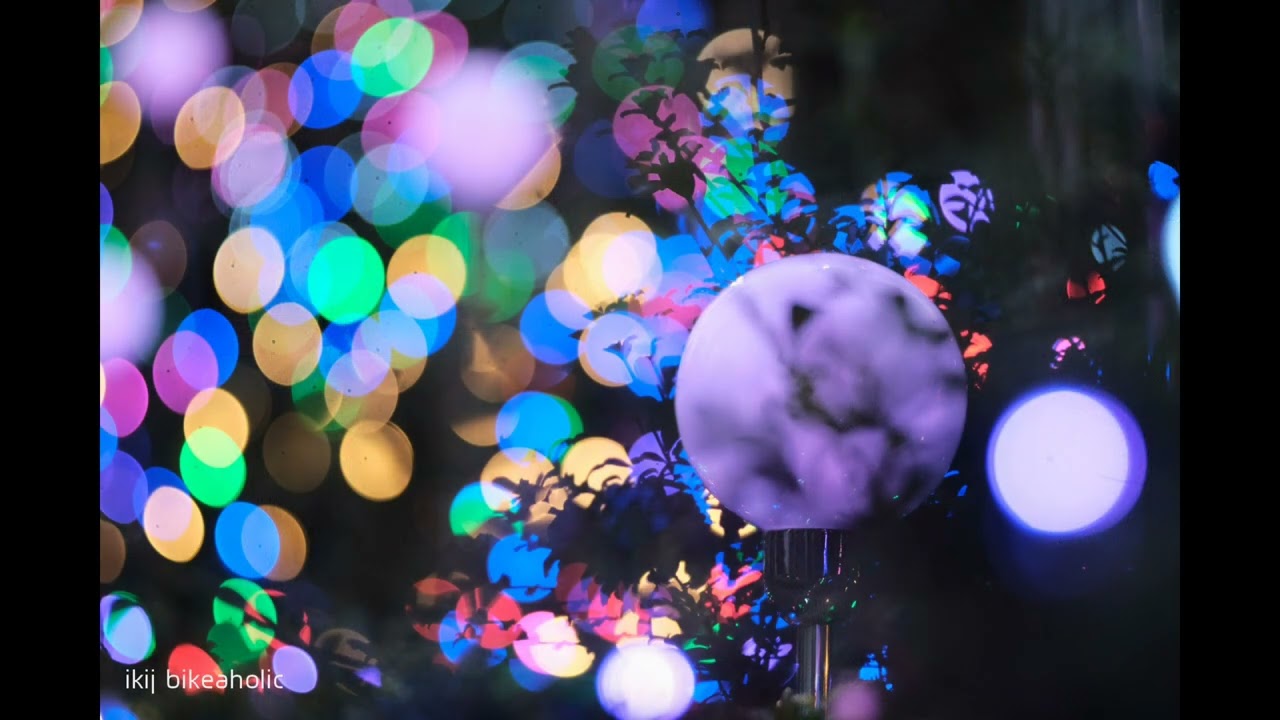 Fuji x pro2 with Minolta 55f1.8 vintage len