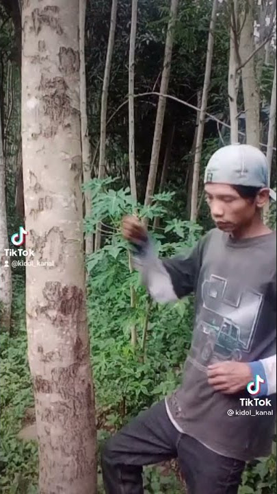 Mentahan pukul pohon