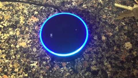Thinking about using the Amazon Echo Dot in the classroom?