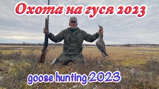 Весенняя охота на гуся 2023 Spring goose hunting