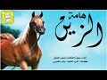 شيلة رقص حماسيه 2023 هامت الزين أداء صوت الفخامه متعب الخيل