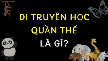 Di Truyền Học Quần Thể là gì? - Sinh Học - tập 18 | Tri thức nhân loại