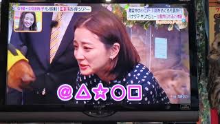 ヒルナンデスでBambooPalmが紹介されました｜Appeared on Nippon Television! 【アザラシとふれあえる店バンブーパーム 】