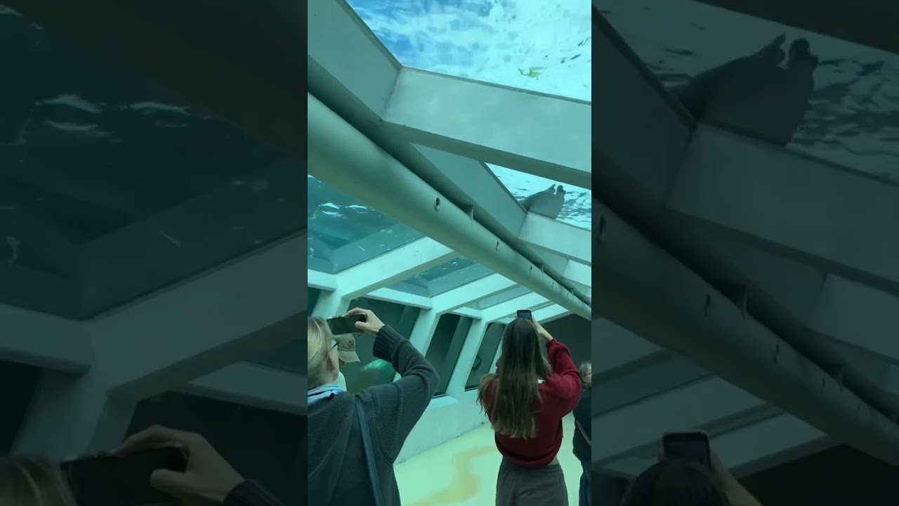 National aquarium of Denmark ! 🇩🇰🇩🇰🇩🇰 