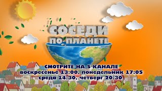 Соседи по планете. Выпуск 69.