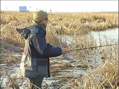 видео мастер класс ловля щуки весной на видео мастер класс ловля щуки весной на