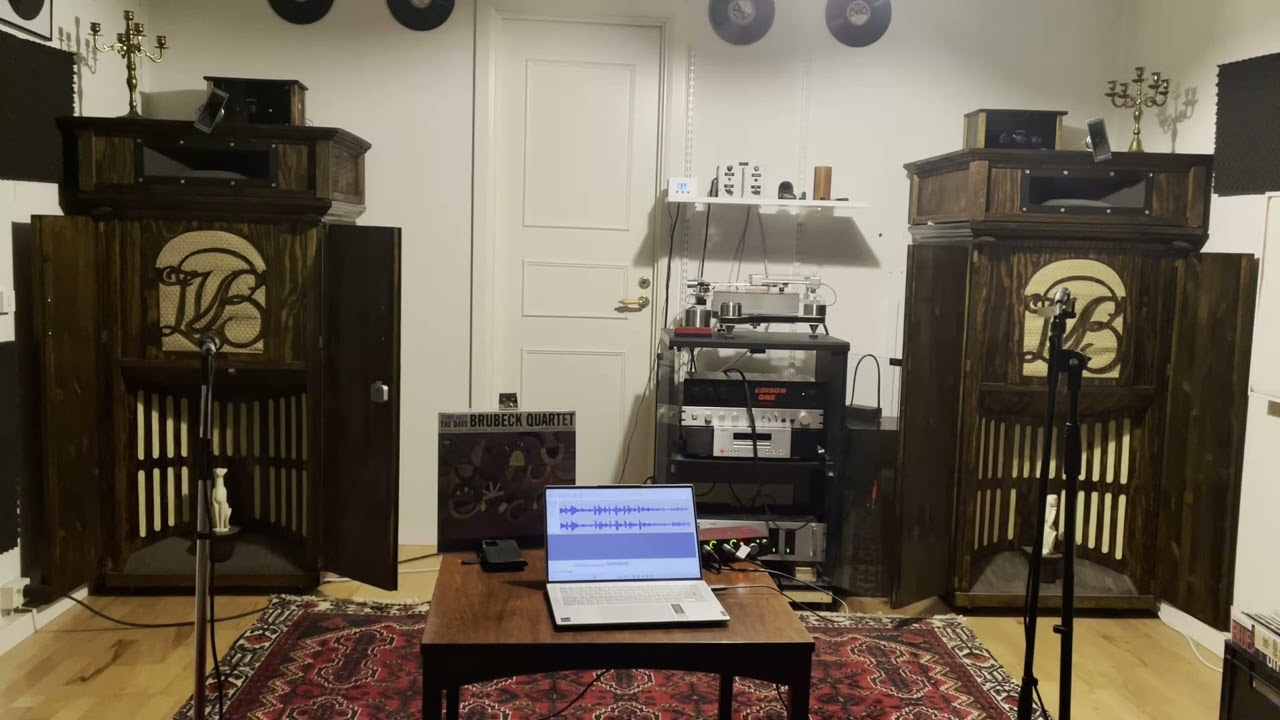 Selfmade hornspeakers