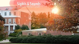 Sights & Sounds | Autumn on Hollins Campus 2023