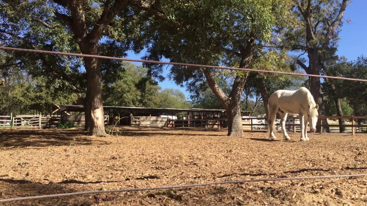 White Rocks Farm Riding Stables TTFG: White Rock Stables (10-24-17) - YouTube