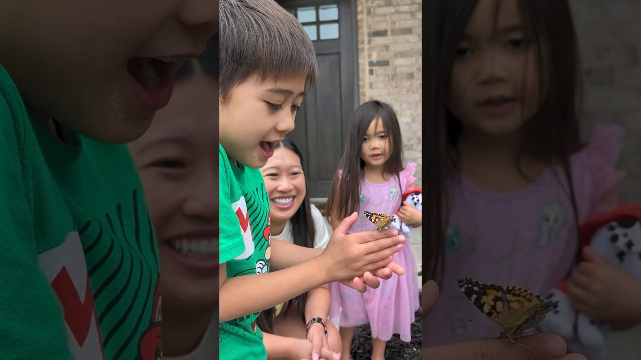 Homeschool Butterfly #family #familytime #homeschooling #fun #toddler #preschool #kindergarten