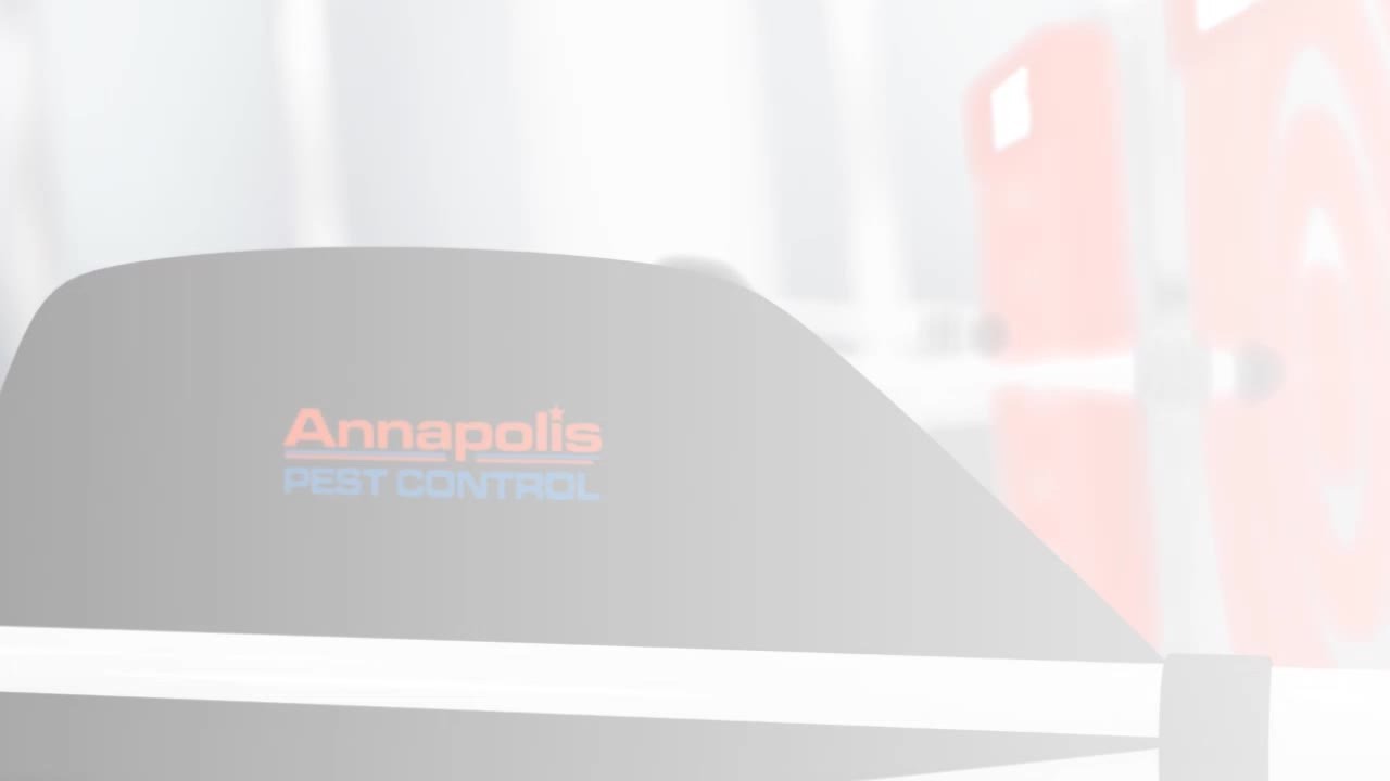 Annapolis Pest Control Review Hillsmere Shores MD