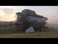 Żniwa pszenicy 2021 Rostselmash Acros 595 Plus w akcji