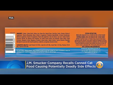 Video: J.M. Smucker Company Retira Del Mercado Lotes Selectos De Comida Enlatada Para Gatos 9Lives, EverPet Y Special Kitty