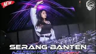 COBA KAU INGAT INGAT KEMBALI DJ SEHARUSNYA AKU 2021 REMIX FULL BASS MELINTIR ABISS