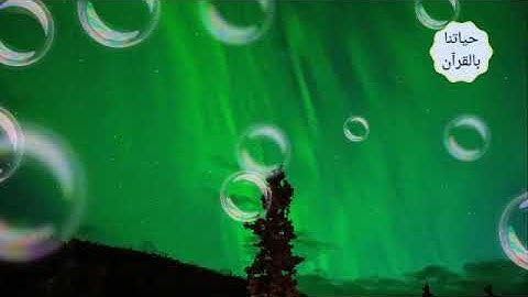 ما تيسر من سورة النساء / تلاوة للشيخ د . أحمد بن طالب بن حميد حفظه الله ورعاه