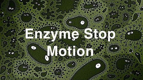 Enzyme Stop Motion: The Process of Enzymes