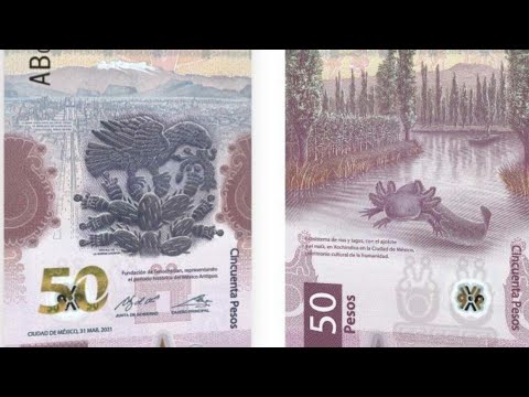 ¿ES VALIOSO??? Comprando Nuevo Billete de Mexico? 50 Pesos AJOLOTE - Precio y Carasteristica