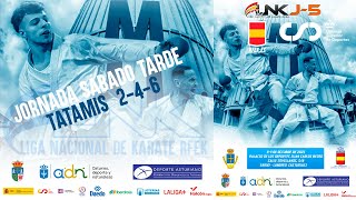LIGA NACIONAL / LIGA IBERDROLA DE KARATE J5 – LANGREO 2025