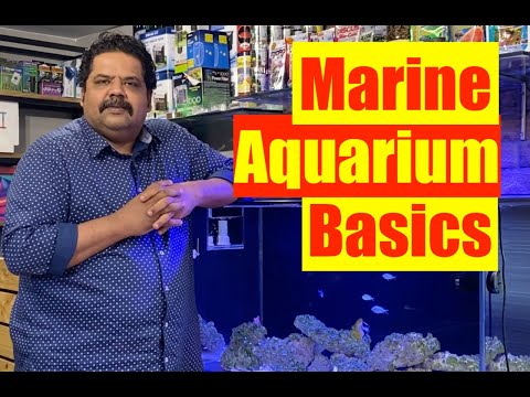 Basics of a Marine Aquarium | Mayur Dev's Tips for Keeping Healthy Saltwater Reef Aquarium  HD
