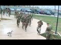 Goose intimidates soldiers  viralhog