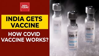 The central drugs standard control organisation's subject expert
committee (sec) has approved covishield vaccine against covid-19
developed by serum ...