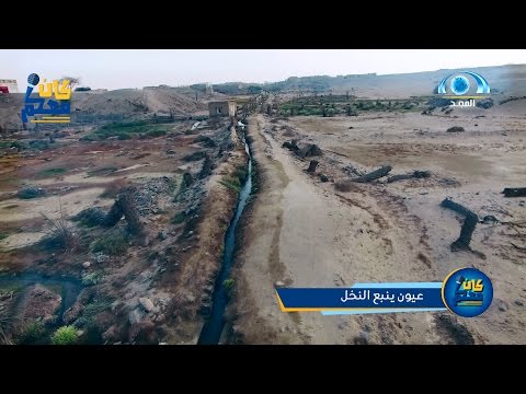 عيون ينبع النخل كان معكم