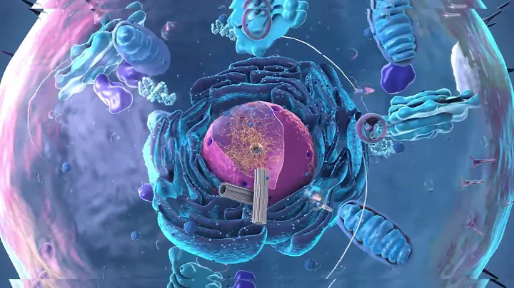 Aquaporiners struktur kartlagd