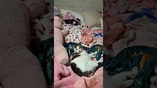 Kitty Koo New Freinds