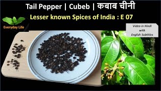 Tail Pepper | Cubeb | कबाब चीनी  | Lesser known Spices of India: EP 07 | Everyday Life #19