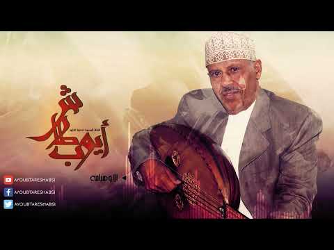 ايوب طارش | هيامة الصراب - عود