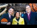 The Story Behind The 2019 Rockefeller Center Christmas Tree | TODAY