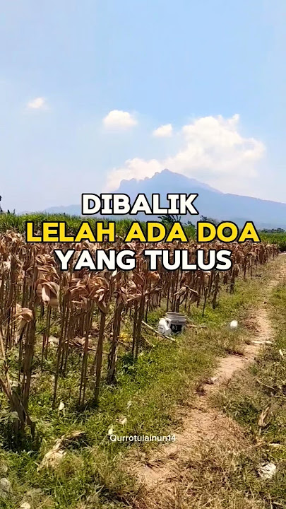 Di balik lelah ada doa yang tulus #motivasi #doaharian #viralshort
