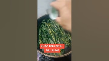 Công dụng rau cúc tần #shorts #thanhdongvlog