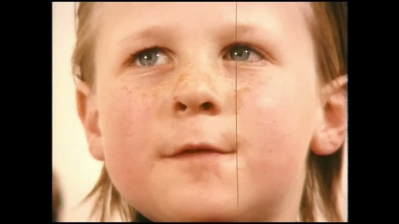 Die seltsamen Abenteuer des Herman van Veen -Der Kampf der Giganten !