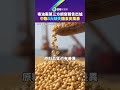 毒油第三方調查報告出爐　中聯「3大缺失」釀食安風暴｜鏡報