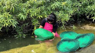 Green clams appeared in the river, and the girl discovered an unprecedented treasure of pearls
