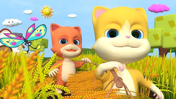 Cái Bống Là Cái Bống Bang - Nhạc thiếu nhi