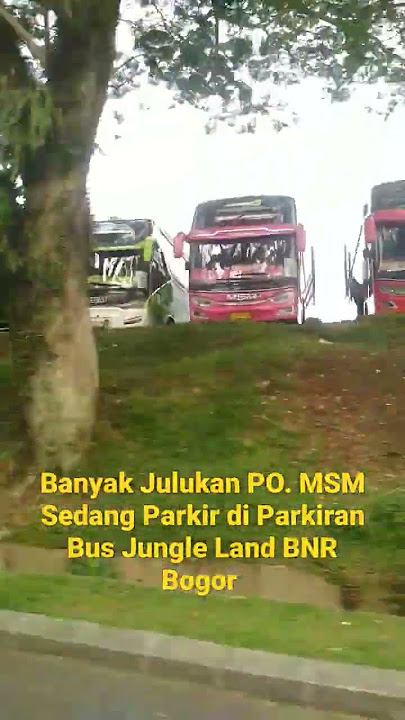 Banyak Julukan PO. MSM Sedang Parkir di Parkiran Bus Jungle Land BNR Bogor #bogor #bus #bnr #bis
