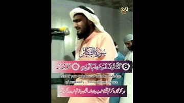 سورة التكاثر || القاري امير حمزه || صلاة التراويح