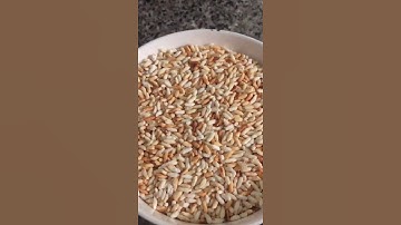 mẹo chữa ngộ độc thức ăn hiệu quả ai cũng làm được | npkchanel