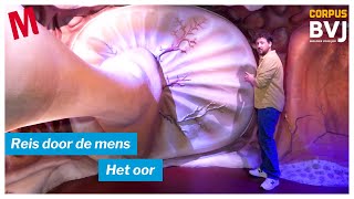 Reis door de mens: het oor | Biologie voor jou | Malmberg