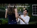The Proposal 💍 | James Seah and Nicole Chang Min