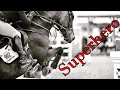 Superhero || Show Jumping Music Video ||