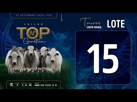 LOTE 15 FSM A2394