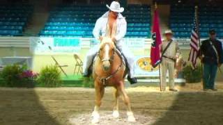 New Tribute To Elvis - An American Trilogy By Ivory Pal