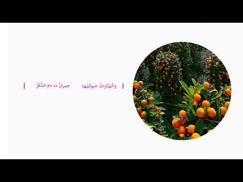 يافا الجميلة