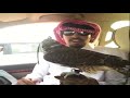 يا حمد عشق القرانيس الندارا 
